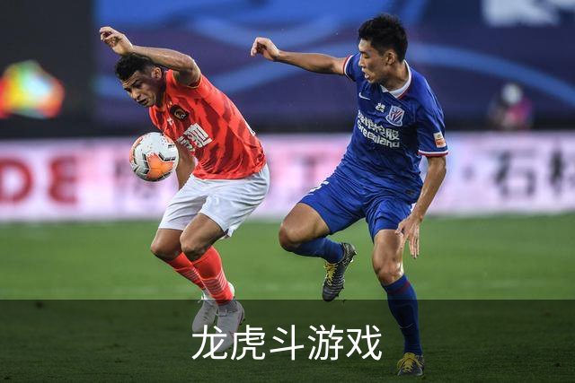 龙虎斗游戏公司介绍图